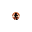 torresdelpaineadventure.com favicon