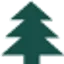 collectmychristmastree.co.uk favicon