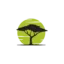 sataxcompany.co.za favicon
