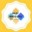 seo-briques.fr favicon