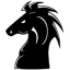 boardgames.ca favicon