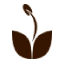 seedsheets.com favicon