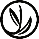 teehaus.ch favicon