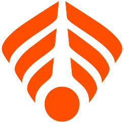 decyberwacht.nl favicon