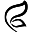 flycurvy.com favicon