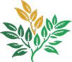 iv-kaffee.de favicon
