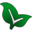 lottoraiser.ie favicon