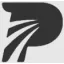panymore.com favicon