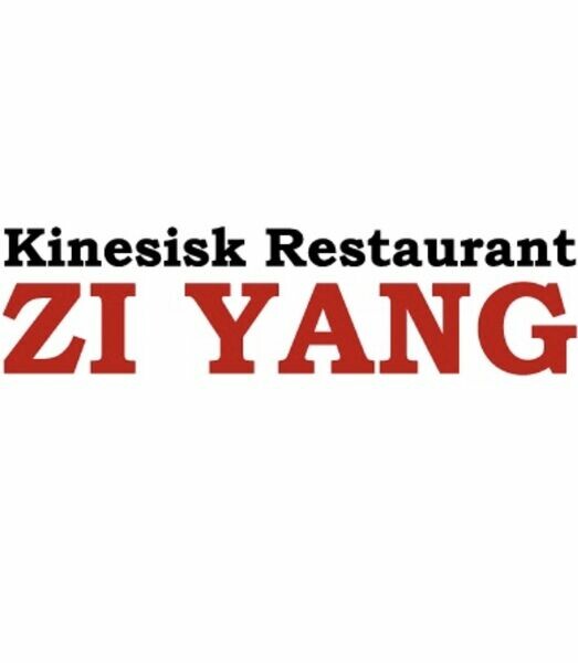 ziyang.dk favicon