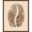 caffexpert.it favicon