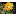 succseed.com favicon