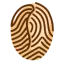 cafesmyway.com favicon