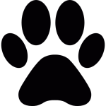healthy-pets.ie favicon
