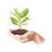 savinivivai.it favicon
