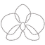 velourstudio.dk favicon