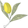 diegenusswelt.com favicon