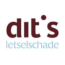 ditsletselschade.nl favicon