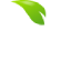orchardortho.com favicon