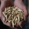 schneifel-pellets.de favicon