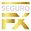 segurofx.com favicon