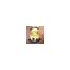 stevnsracehoens.dk favicon
