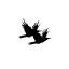 theblackravens.com favicon