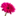 worldfloristassociation.com favicon