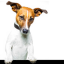 booklovers.co.uk favicon