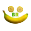 brdanutricao.com.br favicon