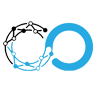 datawaveit.com favicon