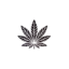 organiccbdnugs.com favicon