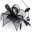fascinators4weddings.co.uk favicon