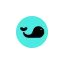 runyourpool.com favicon