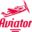 aviatorace.com favicon