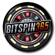 bitspins.nl favicon
