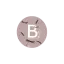 brioenflor.com favicon