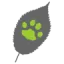 ecologybydesign.co.uk favicon