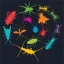 westpest.com.au favicon