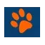 beechgrovedoggyfunpark.com favicon