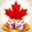 canadacasinoz.com favicon