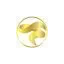 neurodirections.co.uk favicon