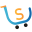 salonesrl.it favicon
