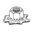 butternutbikes.co.uk favicon