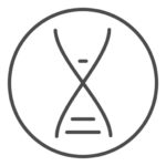 dasleanprinzip.de favicon
