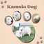 kamsiadog.com favicon