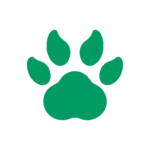 loansbear.com favicon