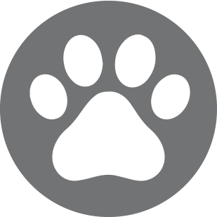 petgentle.com favicon
