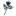 wholesaleflowers.ie favicon