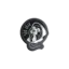 ayupdog.com favicon