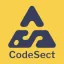 codesect.com favicon